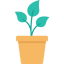 Favicon